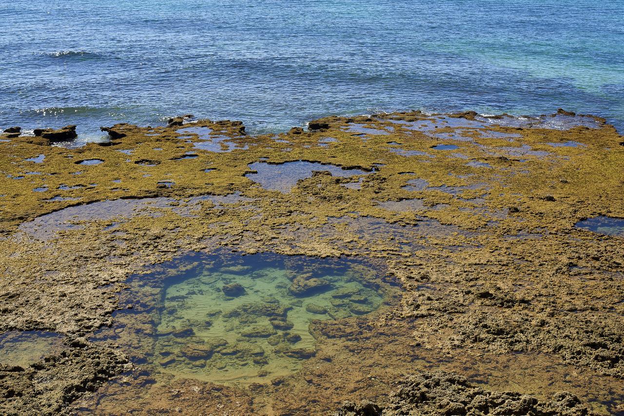 Oceanus Aparthotel Albufeira Kültér fotó
